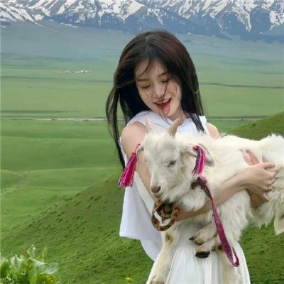 自杀突击队：惨痛代价